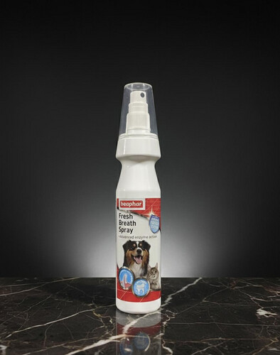 بخاخ نفس منعش 150 مل