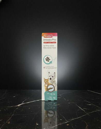 معجون IntestoPro لعلاج الإسهال للكلاب الصغيرة والقطط 20 مل