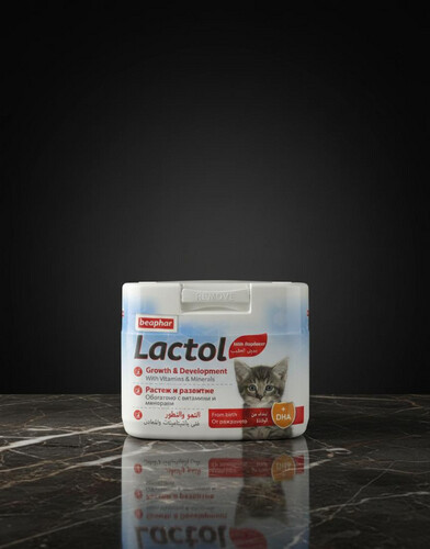 حليب Lactol للقطط الصغيرة 250 غرام