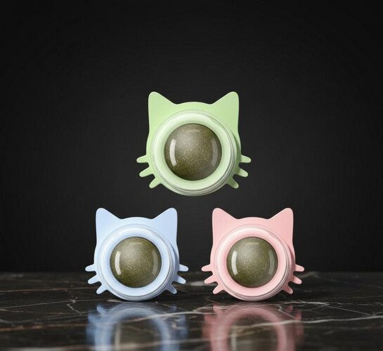 كات نب بشكل قط