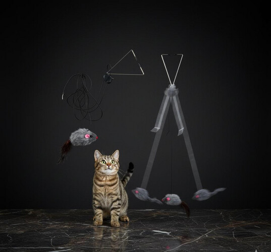 لعبة الفأر المعلق