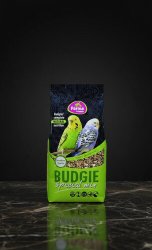 خلطة البادجي الخاصة – 1 كغ