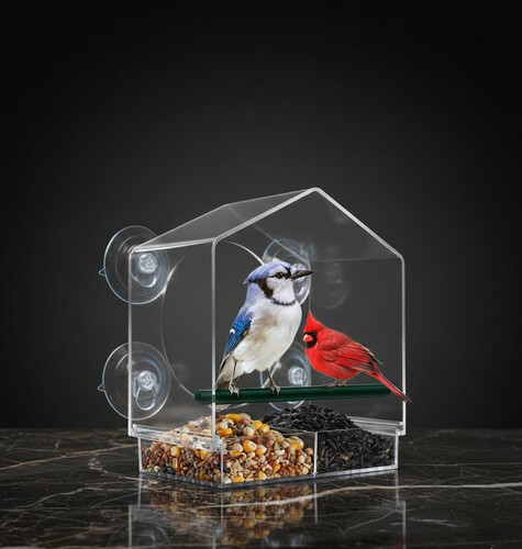 مغذي  مخصص للطيور يحتوي على أكواب شفط