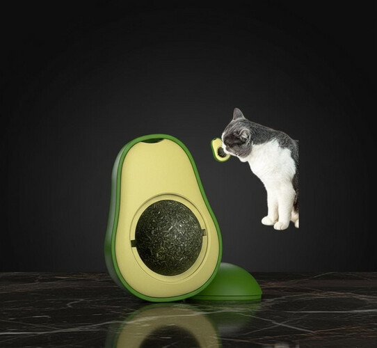 كات نب الأفوكادو