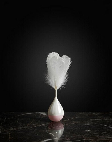 لعبة القطط ABS مع ريش