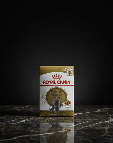 أكل رطب للقطط الصغيرة بصلصة المرق – 12 ظرف × 85 غرام