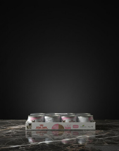 أكل رطب للأم والقطط الصغيرة – 12 علبة × 195 غرام