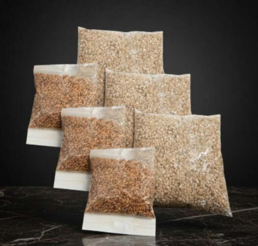 عدة عشب للقطط (مجموعة من 3 قطع)