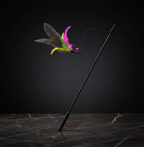 عصا تحفيز طويلة مع الجرس و ريشة كبيرة