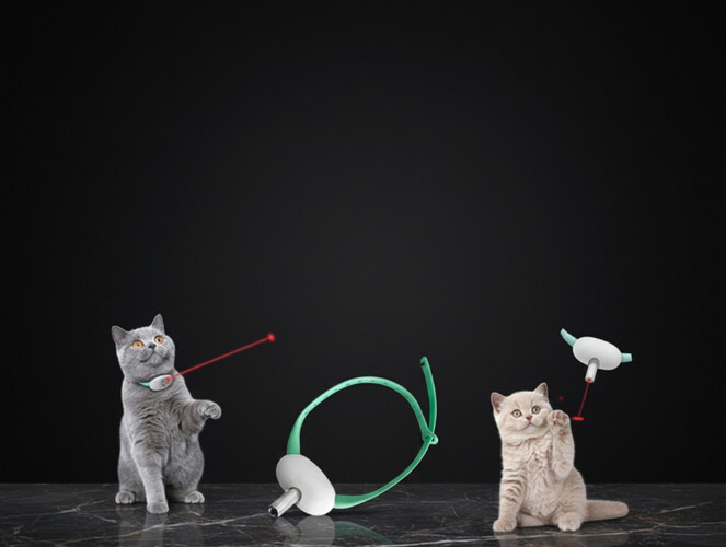 طوق ليزر للقطط