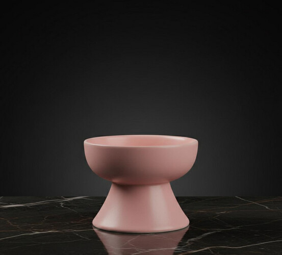 وعاء طعام مرتفع من السيراميك