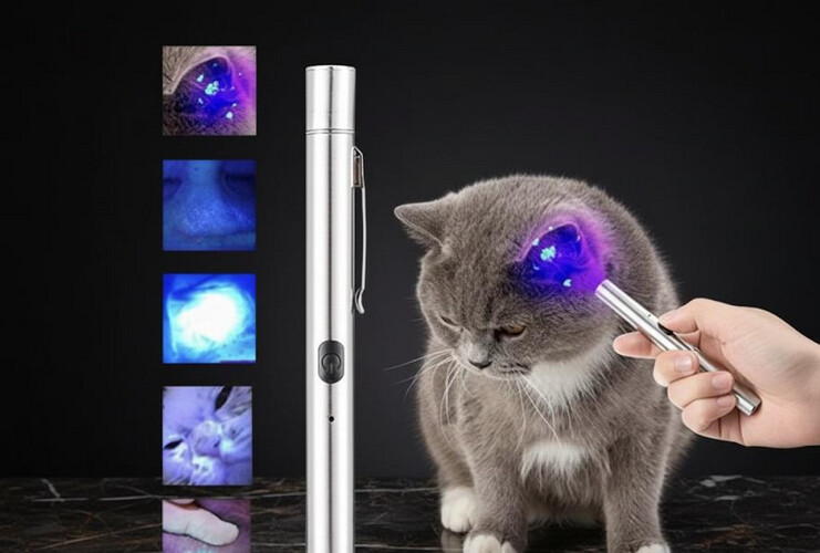 مصباح كشف فطريات الحيوانات الاليفة