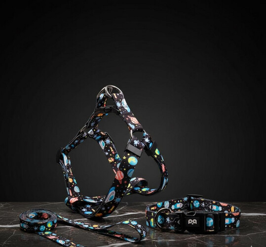 طوق وسلسلة للكلاب