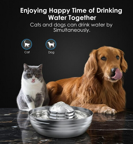 نافورة مياه للشرب