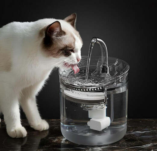 نافورة مياه للشرب