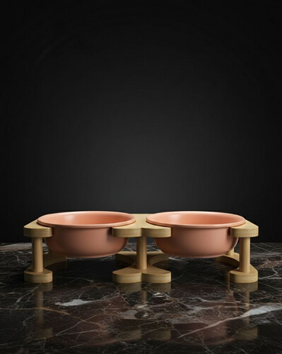 وعاء طعام وماء مزدوج مرتفع للحيوانات الأليفة مع قاعدة خشبية