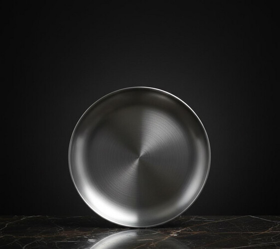 وعاء ستانلس ستيل للقطط