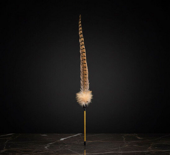 لعبة ريش على شكل عصا