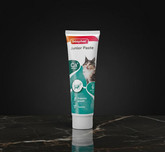 معجون جونيور للقطط الصغيرة – 100 غرام
