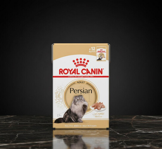 رويال كانين بيرشن – طعام رطب للقطط الشيرازي، 12 × 85 غرام