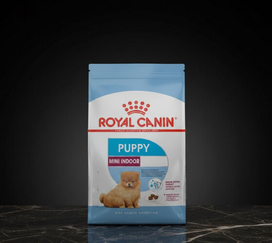 رويال كانين ميني إندور بابي – طعام جاف للجراء الصغيرة المنزلية، 1.5 كغ