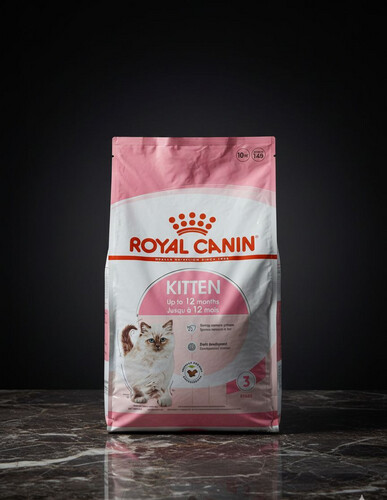 رويال كانين كيتن – طعام جاف للقطط الصغيرة، 10 كغ