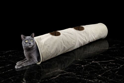 ق لعب للقطط مع صوت كرنكل (Crinkle) – بيج