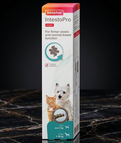 IntestoPro Anti Diarrhea Paste Syringe Small Dog & Cat – 20 ml