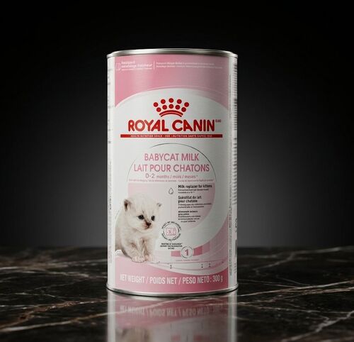 حليب بديل للقطط الصغيرة من رويال كانين Babycat Milk – 300 غرام