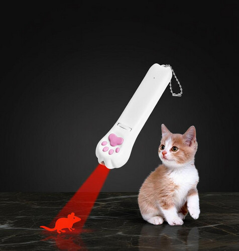 لعبة ليزرمطاردة للقطط