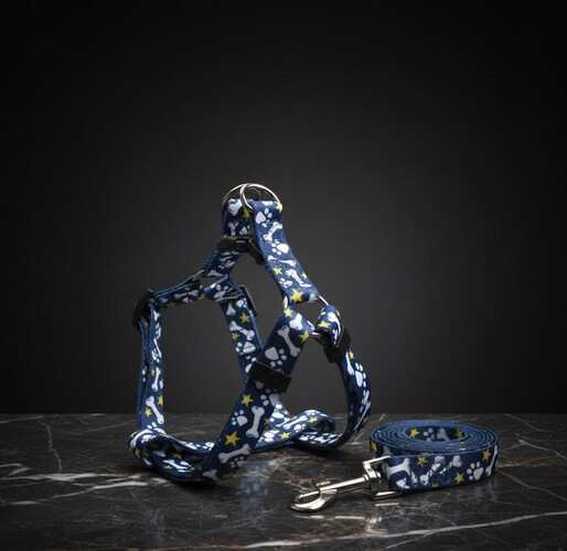 طوق وسلسلة للكلاب