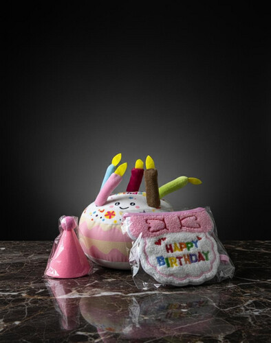 طقم عيد ميلاد للقطط (3 قطع)