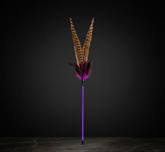 لعبة ريش على شكل عصا