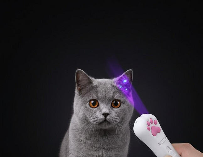 لعبة ليزرمطاردة للقطط