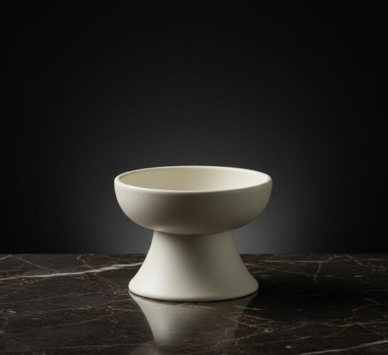 وعاء طعام مرتفع من السيراميك