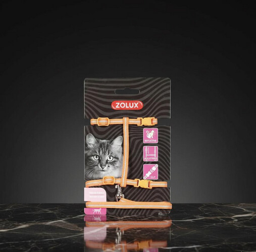 طقم حزام ومقود للقطط