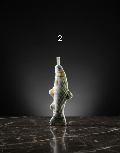 لعبة السمكة للقطط