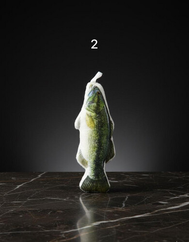 لعبة السمكة للقطط