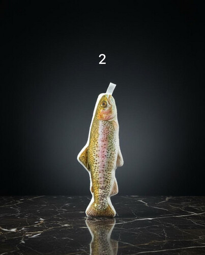 لعبة السمكة للقطط