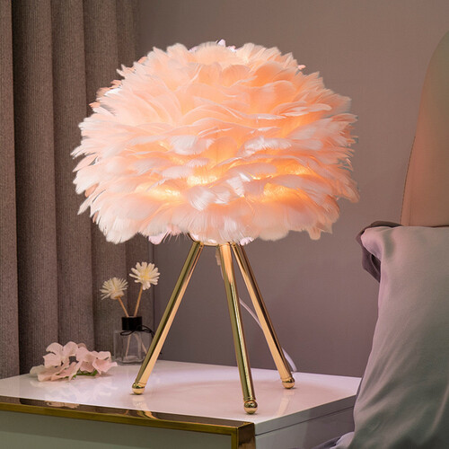 46379- Golden Pink Feather lamp