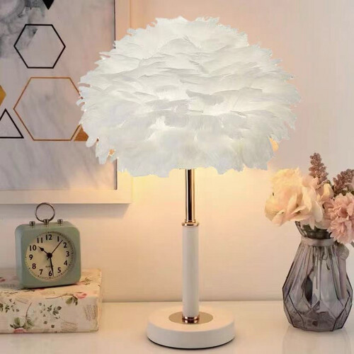 46382- Feather lamp