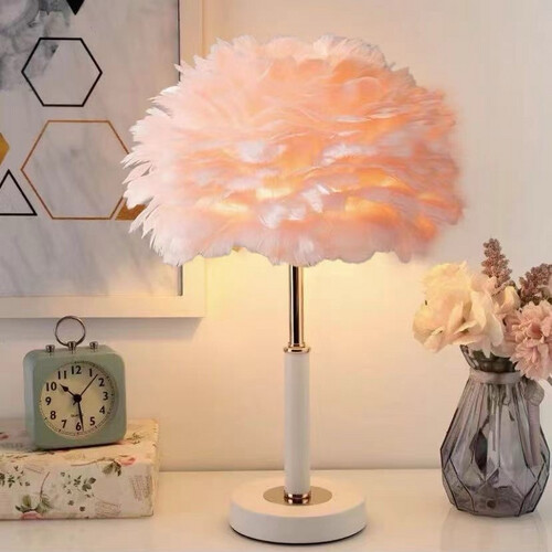46298- Feather lamp