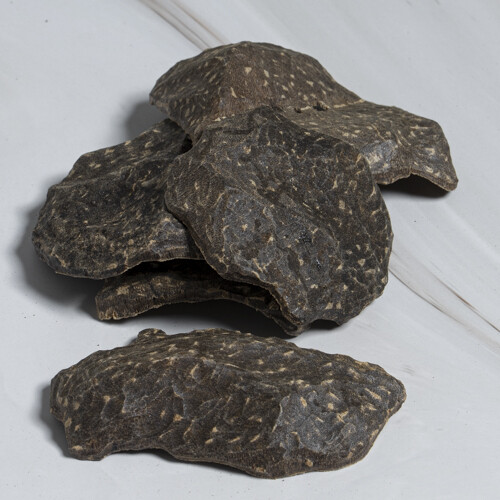 جار صيني شيخ المجالس