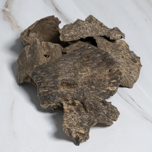 جار فيتنامي سبائك الذهب