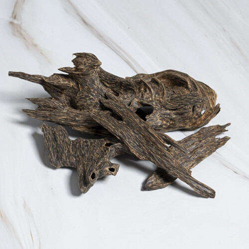 جنوب تايلند نخبه