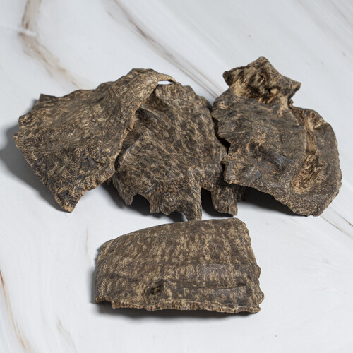 جار فيتنامي النخبة