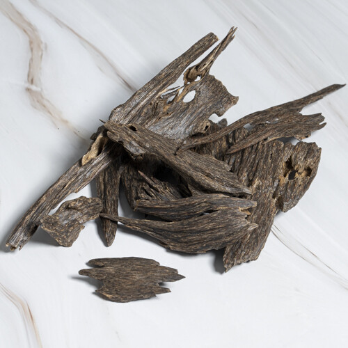 زورا النخبة