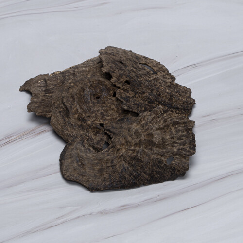 جار صيني راوند