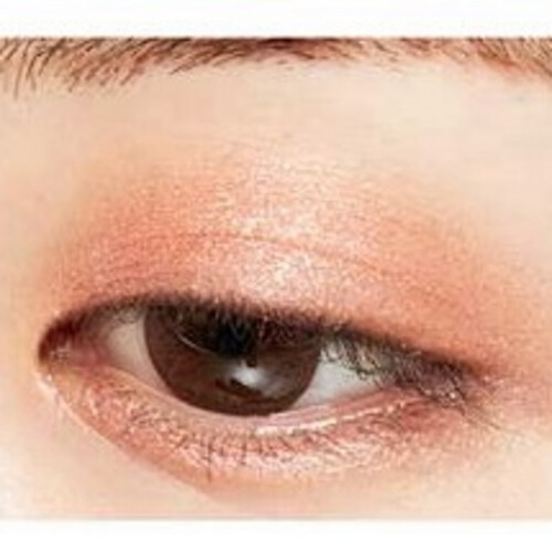 MISSHA COLOR FIT STICK SHADOW [FULL BLOSSOM]