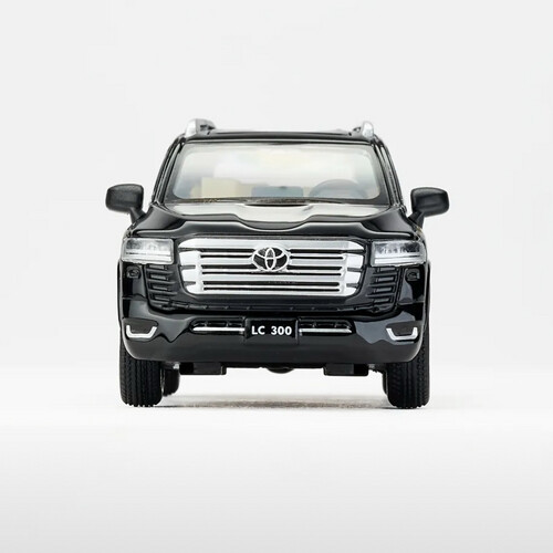 LC300 with stripes (black)